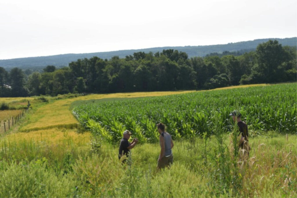 Clover Hill Farm Hardwick, MA