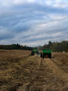 Locally-grown non-GMO livestock grains