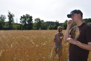 Custom grain for livestock feed