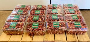 local cranberries grown in central MA
