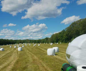 haylage bales for sale, silage bales for sale, wrapped round bales