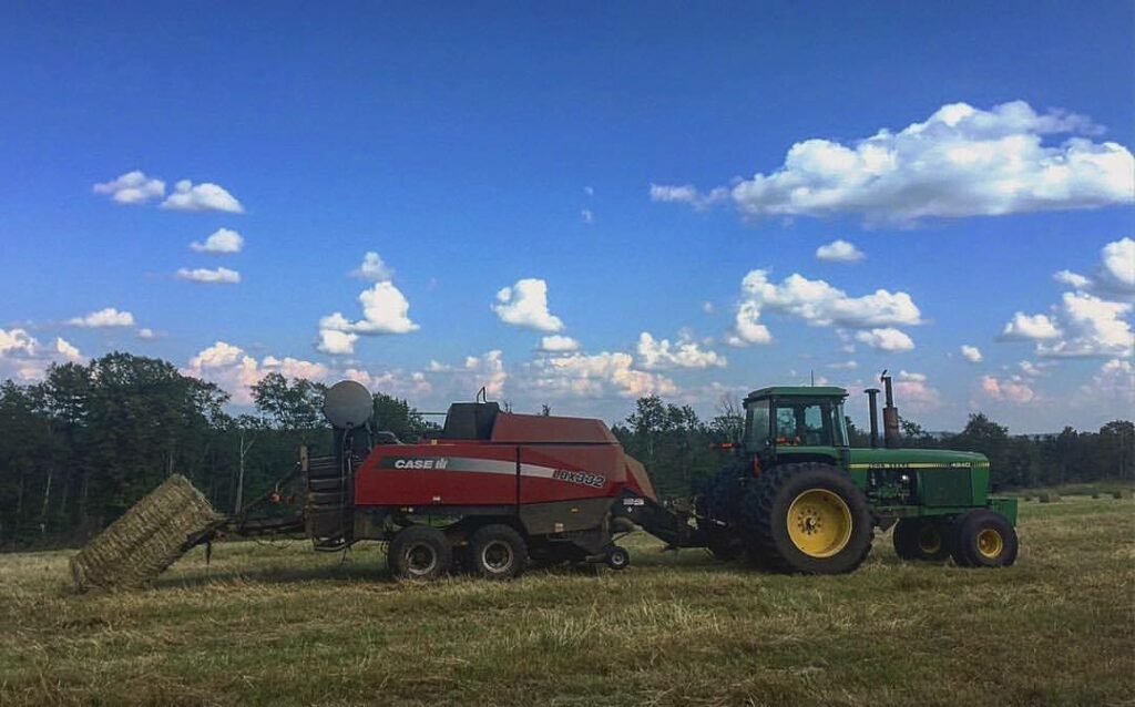 Large square hay bales for horses, livestock