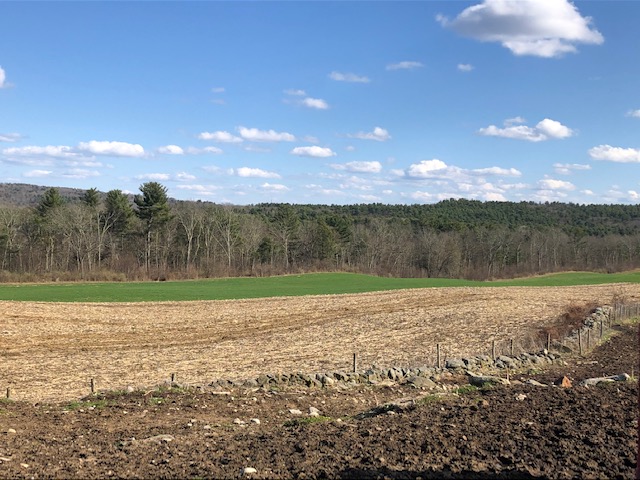 Spring field at reast, just waiting for the snows to move on!