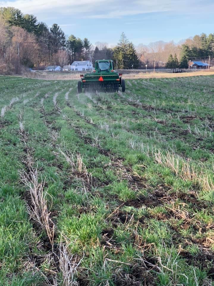 Planting Barley in Central Massachusetts with the No-till Planter