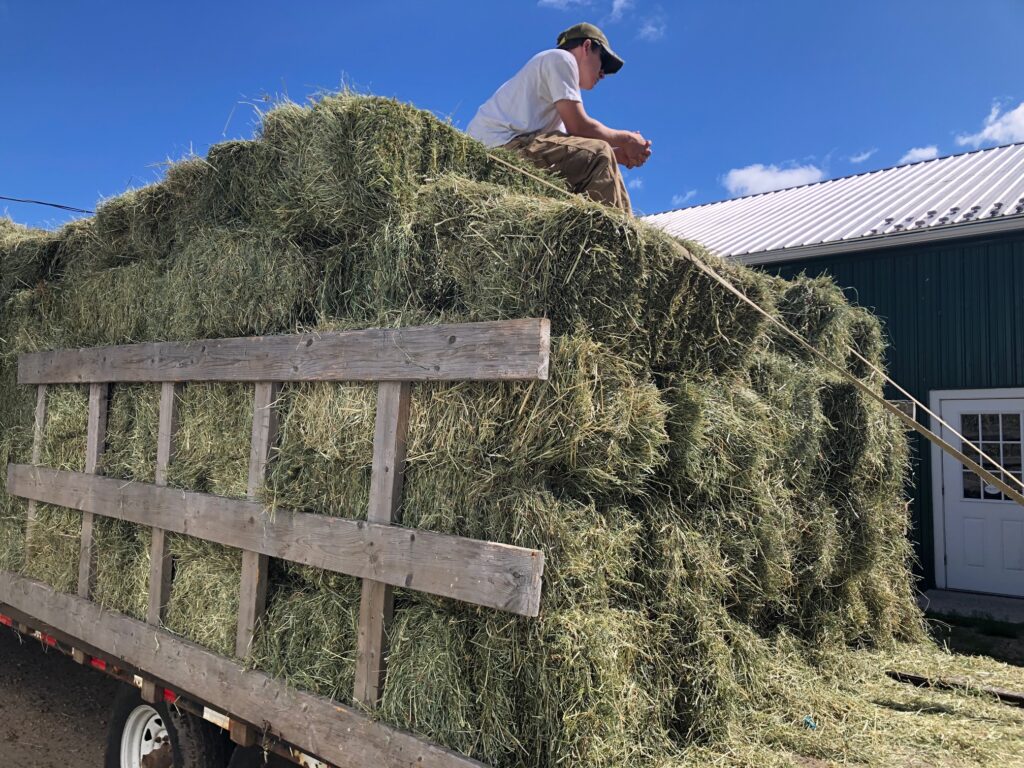 hay ready for delivery hardwick ma