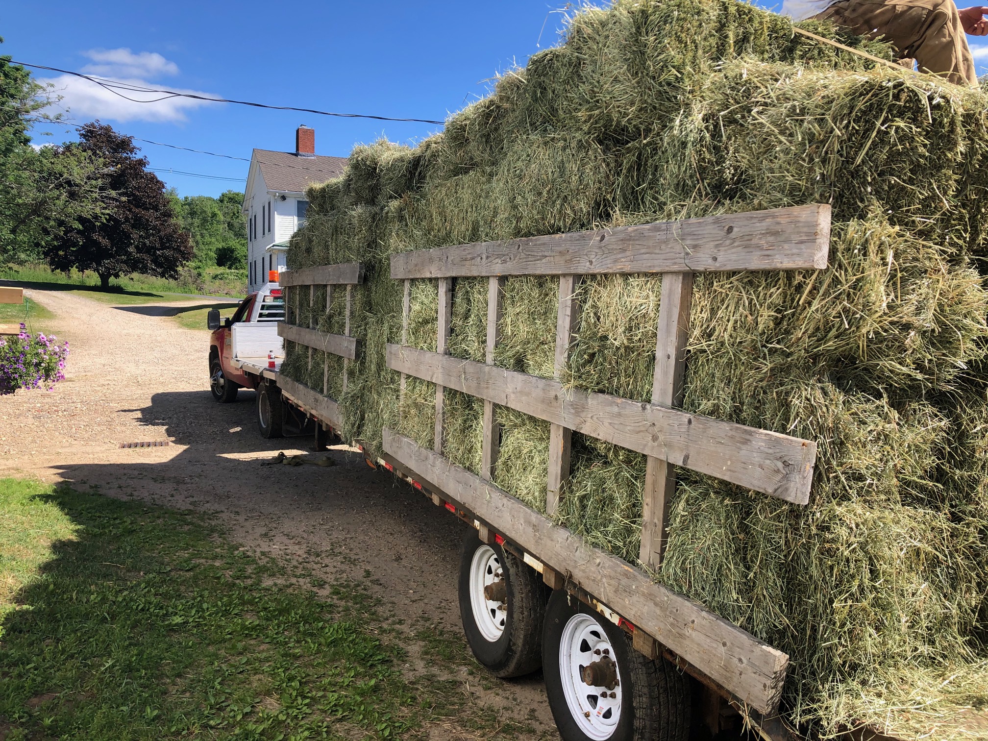 small square hay bales for sale, Gilbertville Hardwick MA