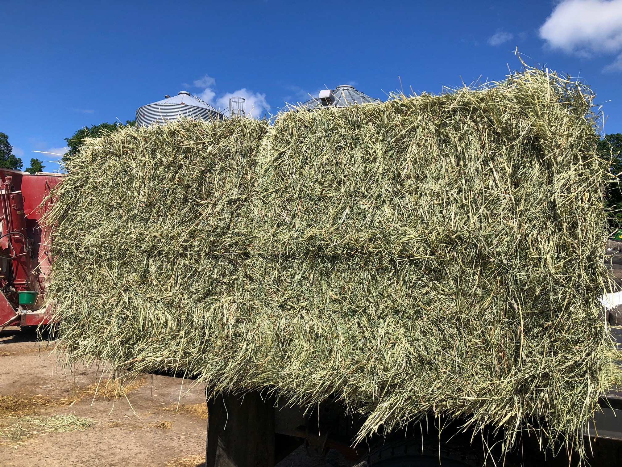 large square hay bales for sale