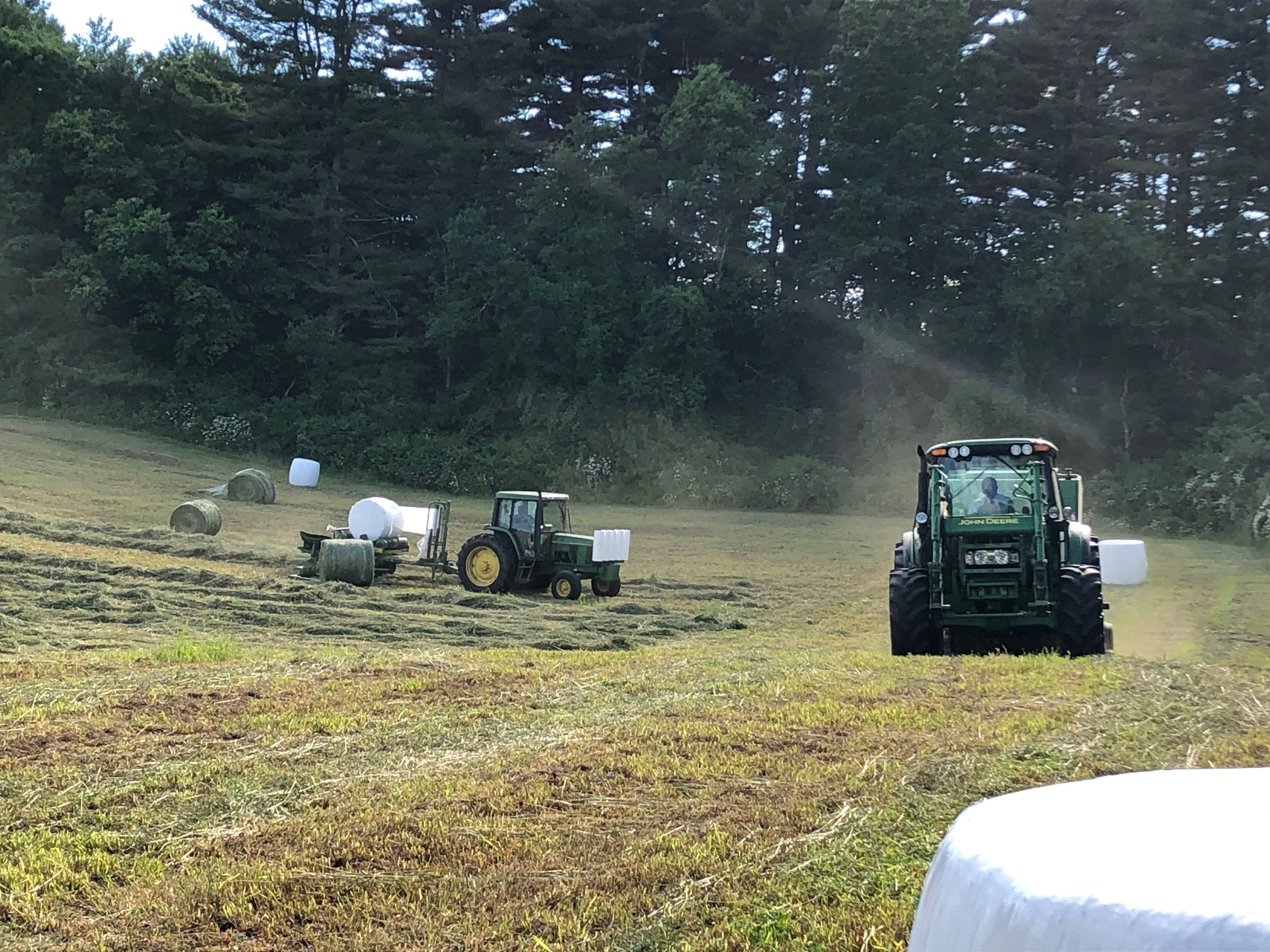 wrapped round hay bales, round bales, wrapped round bales, haylage bales, insilage bales