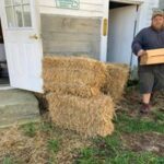 straw bales for sale