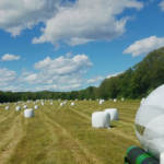 haylage bales for sale, silage bales for sale, wrapped round bales