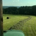 large hay bales for sale. Horse Quality. Livestock Hay