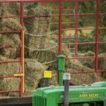 small hay bales, horse quality hay
